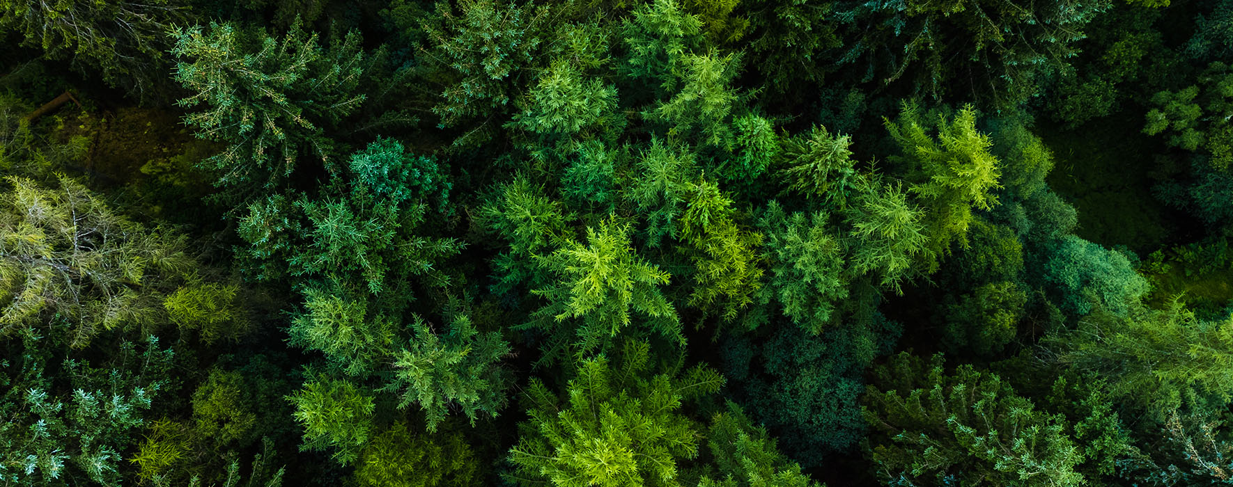 The Eyeglass Shop | Optical Department, Contact Lens Exams and Vuity Eye Drops